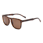 I SEA Cove sunglasses in tortoise shell frame with brown polarized lenses, angled 3/4 view on white background