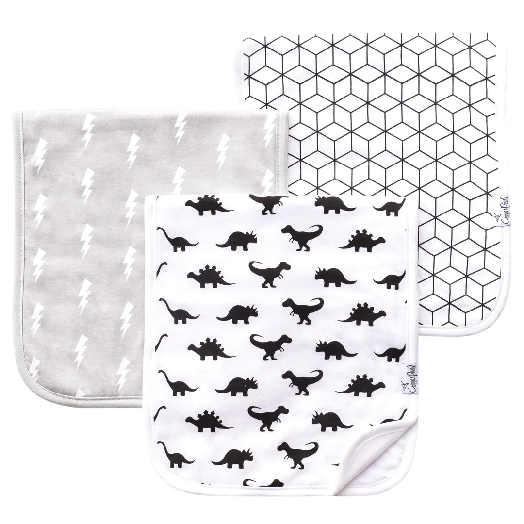 BURP CLOTH SET (click for more colors)