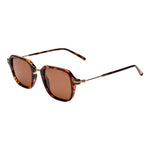 Riley - Tort / Brown Polarized Lens