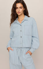 Z SUPPLY Erin Railroad Jacket in Seaboard Stripe — light blue pinstripe button-front cropped jacket on model, front view