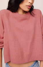Z SUPPLY Coming Up Sweater in Desert Bloom — cropped pink knit pullover with crew neck and raglan sleeves on model